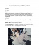 Analisis granulometrico de agregado