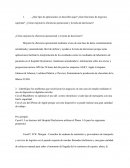 ¿Qué tipo de aplicaciones se describen aquí? ¿Qué funciones de negocios soportan? ¿Cómo mejoran la eficiencia operacional y la toma de decisiones?