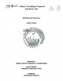 Triunfo de un sueño