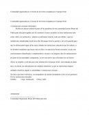 Comunidad organizada por el rescate de las tierras ocupadas por el parque ferial.