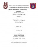 Práctica de Cromatografía
