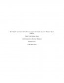Identificar la importancia de los Procesos propios del área de Recursos Humanos de una empresa.