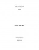 Analisis caso Camelback