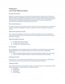 Proyectos de El estudio de mercado