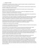 COMERCIO EXTERIOR - ACTIVIDAD