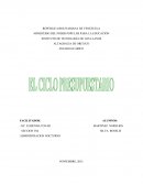 Tema: Contabilidad Gubernamental