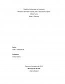 Ensayo : Mi Proyecto de Vida