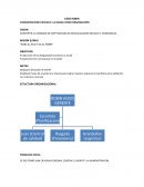 Caso robin hood “ROBA AL RICO Y DA AL POBRE”