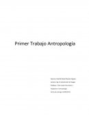 PRIMER TRABAJO ANTROPOLOGIA