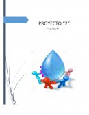 El agua - Monografia