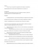 Departamentalizacion y su Objetivo