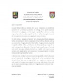 Opinión. ¿Qué es la expresión?