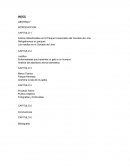 Felinos Abandonados en El Parque Universitario del Cercado de Lima