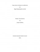 Ensayo : El embarazo en adolescentes