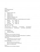 ESTUDIO PRELIMINAR DE CONSTRUCTORA