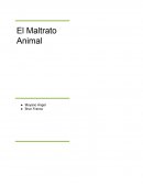 El Maltrato Animal ensayo