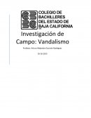 Investigación de Campo: Vandalismo