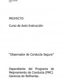 Observador de conducta segura