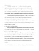 GÉNESIS Y DESENLACE DE UN CONFLICTO.