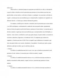 Sintesis CÉLULAS. Página 1