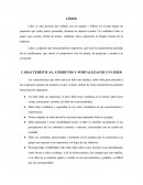 CARACTERÍSTICAS, ATRIBUTOS Y FORTALEZAS DE UN LÍDER