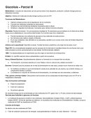 Glucolisis – Parcial III