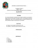 Informe de botanica