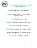 ENSAYO DE CRECIMIENTO HUMANO INTEGRAL