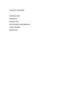 MATRIZ DOFA ESTRATEGIAS A IMPLEMENTAR