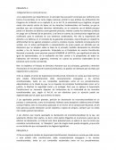 Contador publico - Derecho Constitucional