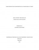 CARACTERIZACION FISICO-MORFOMETRICA DE LA MICROCUENCA EL TABLON