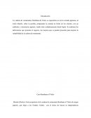 Caso Benihana of Tokio