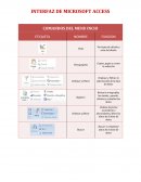 Interfaz de Microsoft Access.