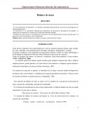 Informe de Balance de masa