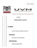 Termodinamica “TRABAJO”