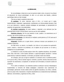 Mediación Nivel Medio Mayor