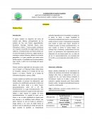 ELABORACIÓN DE QUESO ASADERO