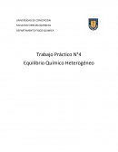 Trabajo Práctico N°4 Equilibrio Químico Heterogéneo