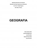 La degradación de la fauna