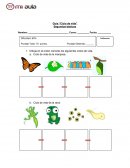 Guía “Ciclo de vida”