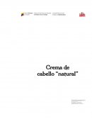 CREMA DE CABELLO A LO NATURAL