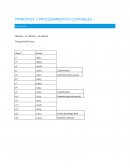 Principios y procedimientos contables