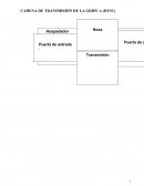 CADENA DE TRANSMISIÓN DE LA GRIPE A (H1N1)