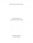 ENSAYO SISTEMA INTEGRADO DE GESTIÓN