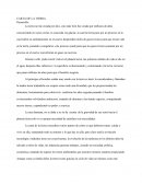 Ensayo sobre la carta de la tierra.