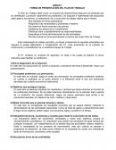 FORMA DE PRESENTACIÓN DEL PLAN DE TRABAJO