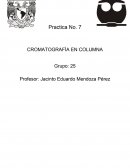 CROMATOGRAFÍA EN COLUMNA