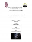 ANALISIS CIENTIFICO ¨LA NAVE DE LOS DIOSES¨