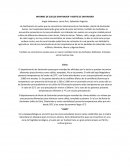 INFORME DE SUELOS SANTANDER Y NORTE DE SANTANDER