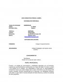 Ejemplos de hojas de vida